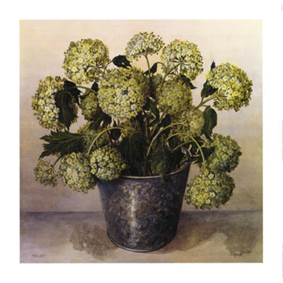 Gelder Rose in Florist Vase Print Gelder Rose in Florist Vase Print