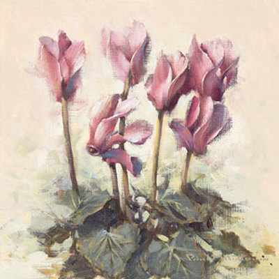 Cyclamen Floral Print Cyclamen Floral Print