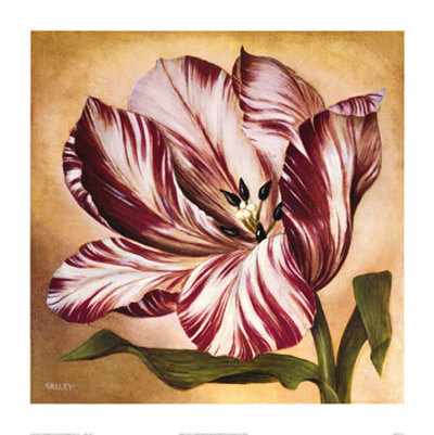 Stripey Tulip II Print Stripey Tulip II Print