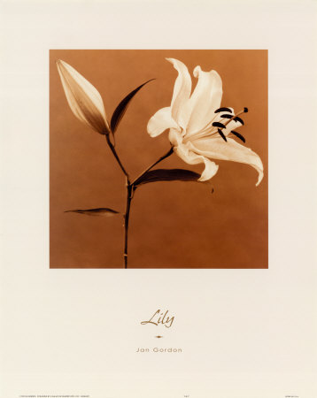 Lily Print Lily Print