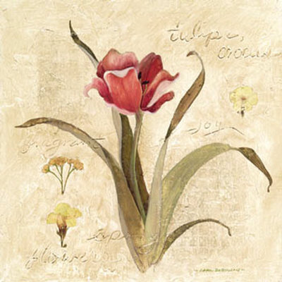 Red Tulip Print Red Tulip Print