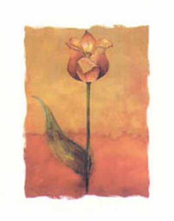 Tulip Abstract VI Print Tulip Abstract VI Print
