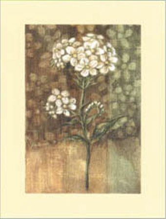 Forget-Me-Not Shadows Print Forget-Me-Not Shadows Print