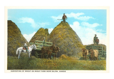 Wheat Harvest, Salina, Kansas Print Wheat Harvest, Salina, Kansas Print