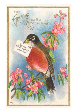 Robin with Letter Print Robin with Letter Print