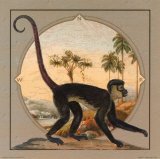 Primate Oasis I