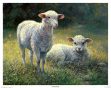 Innocence