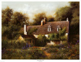 English Summer Garden