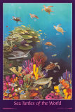 Sea Turtles of the World
