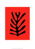 Feuille Noire Sur Fond Rouge  c1947