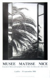 The Palm Tree