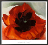 Poppy