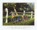 Lime Brick Farm