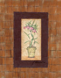 Exotic Botanical II