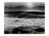 Montauk Surf