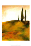 Study at Sunset I
