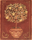 Lemon Tree