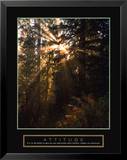 "Attitude-Forest Light" Pre-made-framed Framed Art Print