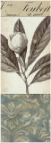 Botanical Bay Laurel
