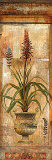 Rojo Botanical II
