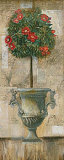Grecian Bloom II