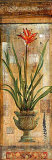 Rojo Botanical I