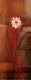 Crimson Chic II