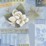 Misty Spring Magnolias II
