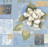 Misty Spring Magnolias I