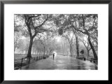 Poet's Walk