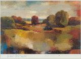 Field Study II