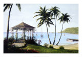 Caribbean Dreams