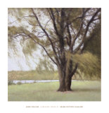 Lakeside Trees II