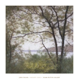 Lakeside Trees I