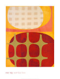 Samba II
