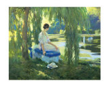 Lakeside Reverie