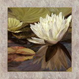 Lotus Jewel II