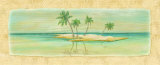 Oasis IV