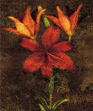 Red Lilies