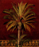 Canary Palm