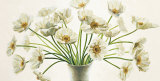 Bouquet di Anemoni