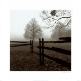 Fence in the Mist