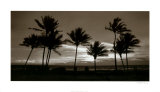 Sunrise Palms