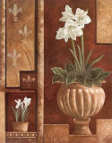 Integrated Style II