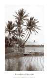 Coco Palms  Oahu  1926