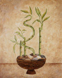 Bamboo  Luck
