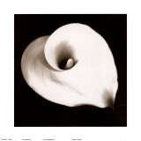 Calla I