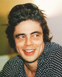 hairy benicio del toro chest