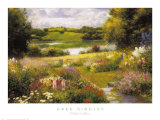 Meadows in Bloom