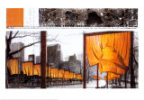 The Gates  Project for Central Park  New York City